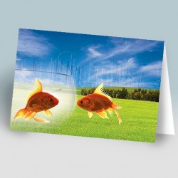 کارت پستال 14.5×21 (دو ماهي زمينه چمنزار)