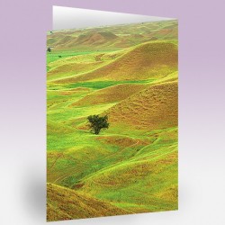 کارت پستال 14.5×21 (چمن زار و تک درخت)