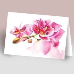 کارت پستال 14.5×21 (گل صورتي رنگ روغن زمينه سفيد)